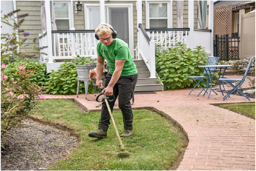 a man working in his garden.