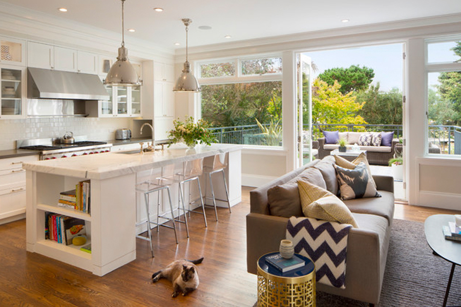 Ways That Households Can Do To Make Their Kitchen Areas Pet-Friendly