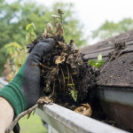 Why Franklin Residents Trust Bubble Blasters for Gutter Cleaning