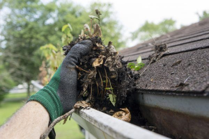 Why Franklin Residents Trust Bubble Blasters for Gutter Cleaning