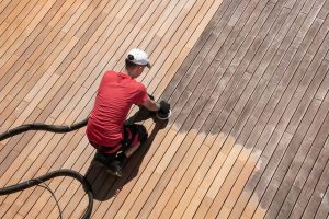 The Ultimate Shield How Pressure Treatment Protects Your Deck from Rot Pests and the Elements