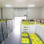 Innovative Cold Storage Construction Tailored for Chinas Food Market Needs