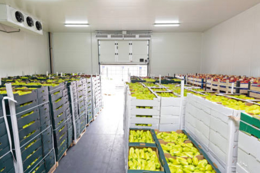 Innovative Cold Storage Construction Tailored for Chinas Food Market Needs